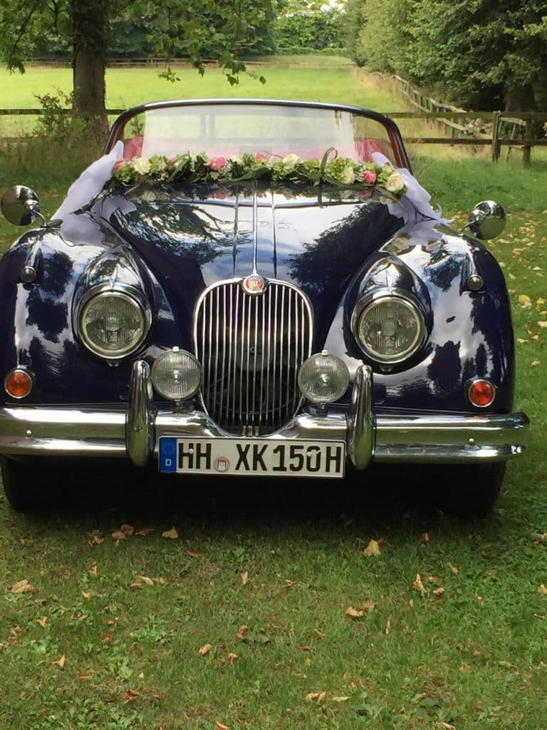 WhatsApp Image 2025 11 18 at 13.15.57