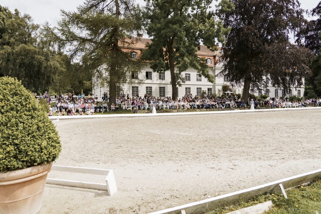 DIE FOHLENSCHAU 2026 2 Gestuet Panker Fohlenschau24 135 1
